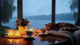 Soft Rain & Peaceful Piano Music for Deep Sleep | Relaxation & Insomnia Relief