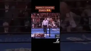 Perfect Counter Punch😱 #boxing #crazy #viral #reaction