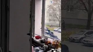 Сегодня акция 
