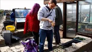 Nightsafe Here We Grow Allotment Project Film