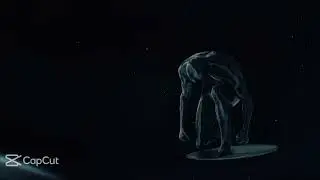 The silver surfer ￼