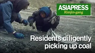 [North Korea Video Report] Residents diligently picking up coal