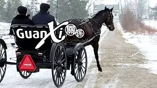 Mennonites in Ontario, Canada