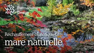 Mare naturelle et r&eacute;chauffement climatique