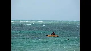The Latest in Kayaking and Canoeing: Trends, Events, and Tips for Beginners