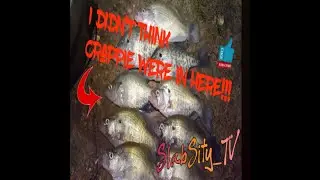 Crappie scouting a small lake in Dallas #SlabSityTV #fishing #crappie #lures
