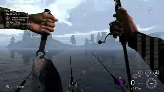 Fishing Planet Update & neue Spots für euch