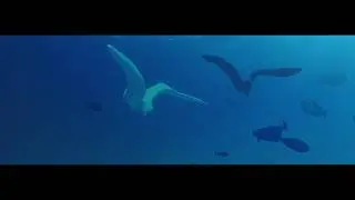 Beno&icirc;t Menut: L'Oiseau Didariel - Les &Icirc;les | Romain David