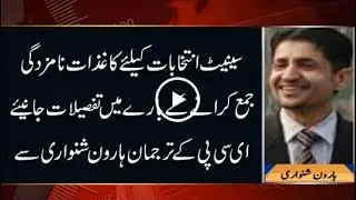 CapitalTV; What is the procedure of submitting nomination papers for Senate elections?