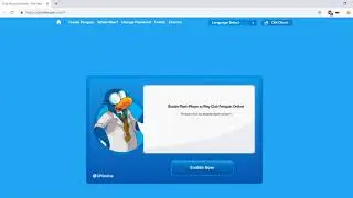 How to Enable Flash Player | Club Penguin Online (No Longer)