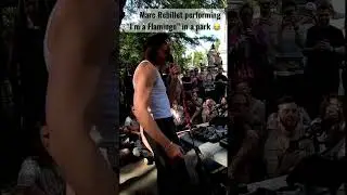 Mark Rebillet performs &ldquo;I&rsquo;m a Flamingo&rdquo; in a park 😂