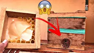 ADICIONANDO MELGUEIRA NA ABELHA MANDA&Ccedil;AIA(Essa abelha &eacute; espetacular😱)
