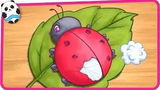 Take Care of Animals with Fairy Sisters 2 - Fun Animals Doctor Games for Kids
