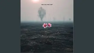 Was it you, was it me?