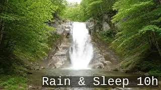 Silent Forest Waterfall in Sunlight &mdash; 10 Hour Static Nature Loop with Natural ASMR Sounds