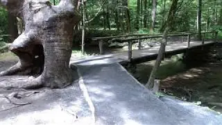 Hike Summary: Great Smoky Mountains National Park, Fighting Creek Nature Trail near Gatlinburg, TN