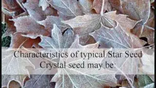 Crystal Children - Star Seeds