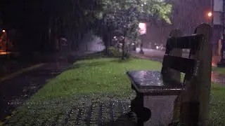 Rainy Night on a Bench : ASMR Rain Sounds for Sleep , Meditation and Study