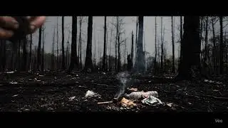 Nature vs Industry Video