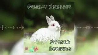 Holiday Hoodlums - Stoned Bunnies (Easter / 420 2025)
