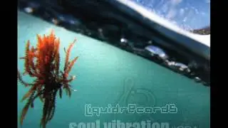 Various &lrm;&ndash; Soul Vibration#001