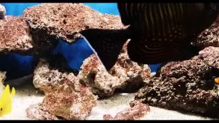 Zeeaquarium Groenhorst Barneveld