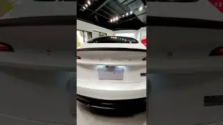 2025 Tesla Model 3 in Pearl White MultiCoat | Exterior Rear Design