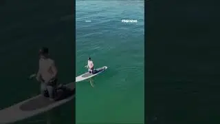 Chilling footage: Great white approaches paddleboarder #shorts #foxnews #news #viral #us
