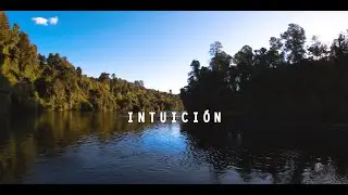 INTUICIÓN _ FIATO FORTUITO 