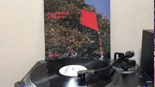 Captain Cocoa - Goodbye Louise (LP)