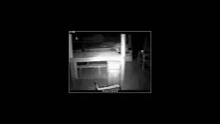 Motion Sensor Activations in the Basement at Bihl Manor