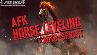 РУКОВОДСТВО ПО ПРОКАЧКЕ ЛОШАДИ В AFK И ОТКРЫТИЮ АВТО-СПРИНТА | Black Desert Online
