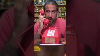 This Moe&rsquo;s Tavern phone is really something else 😂