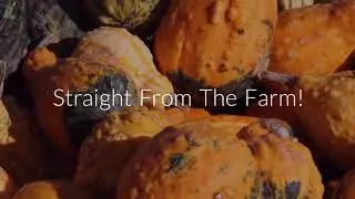 Locally Grown & Made Fall Decor