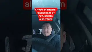 Алименты. Откуда пошло слово? Как правильно писать? | Юрист включает лингвиста