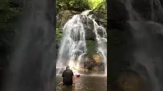 Top secret swimming holes: Smoky Mountains Tennessee 🏔 💦 #bigbuddetv #shortscreator
