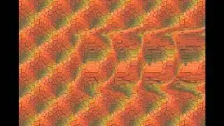 Dynamic Camouflage - Beg Your Pardon