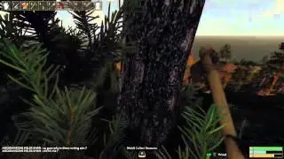 Reign Of Kings Basic Gameplay