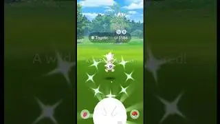 Togetic Community Day Shiny Check... But 🫨 Highest Cp Shiny Togetic Encounter In Pokemon Go #shorts