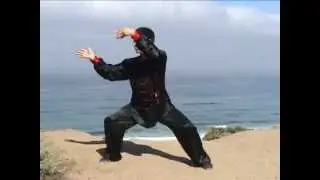 Jesse Tsao Chen Tai Chi Taiji New Frame Xin-jia 1