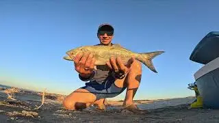 PORT KENNEDY TAILOR FISHING AT SUNSET ( Perth Fishing )