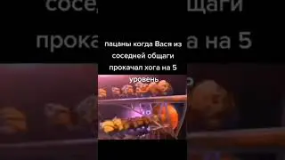 мем #мемы