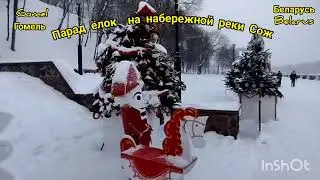 Парад ёлок на набережной реки Сож в Гомеле. Январь 2026 г. A Christmas tree Gomel. January 2026.