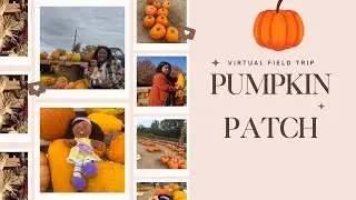 Pumpkin Patch Adventure! 🎃 | Virtual Field Trip with Ms. Burris