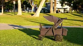 Orgo-Dual Electric Motor Wagon and Stroller in Central Park