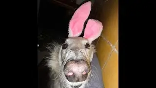 69 subscribers special