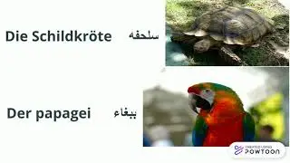 Die Tieve ( part 1) شرح اول جزء من درس