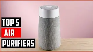 TOP 5 Best Air Purifiers 2025