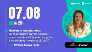 Nutrindo a jornada felina: Como a nutri&ccedil;&atilde;o correta contribui para a sa&uacute;de e vitalidade dos gatos?