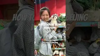 🛍️Стоите на улице Ванфуцзин в Пекине и не знаете, с чего начать? Вот всё, что вам нужно знать🤩